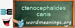 WordMeaning blackboard for ctenocephalides canis